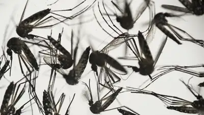 Zakon.kz, фото - Новости Zakon.kz от 05.02.2016 20:14