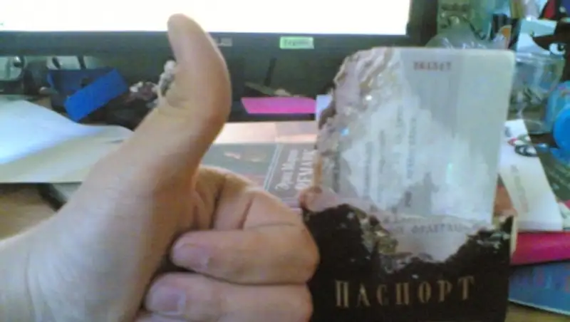 Собака съела паспорт хоккеиста