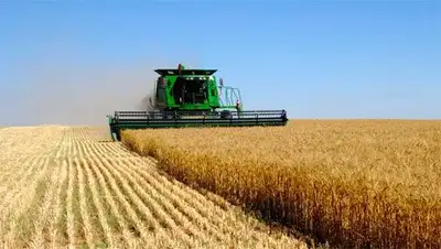 Zakon.kz, фото - Новости Zakon.kz от 06.02.2014 00:23