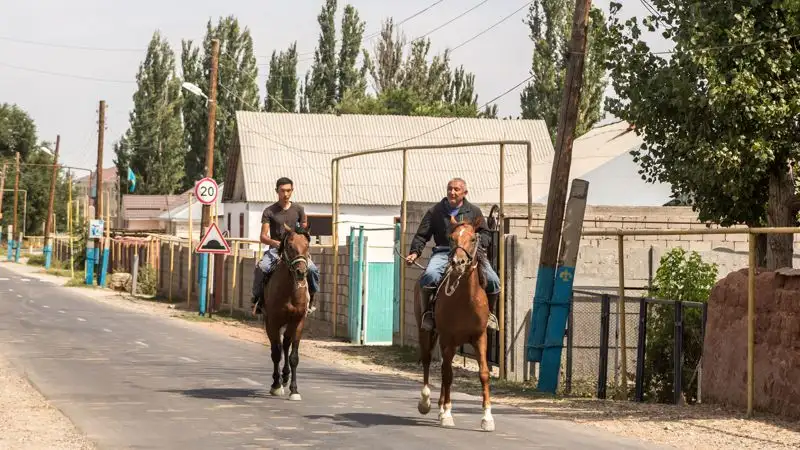 В Жамбылской области придумали, как повысить доходы сельчан