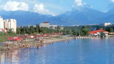 24.kz, фото - Новости Zakon.kz от 07.08.2019 23:13