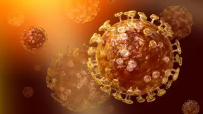 Федеральный центр гигиенического образования, фото - Новости Zakon.kz от 16.01.2020 08:58