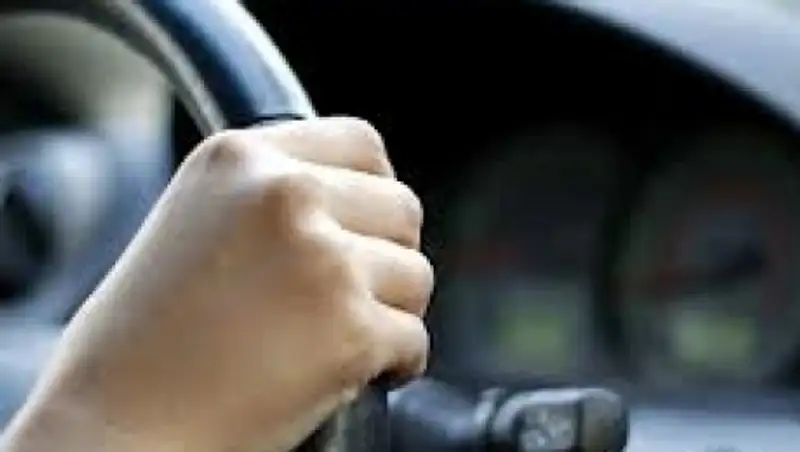 В США дети сбежали из приемной семьи на угнанной машине