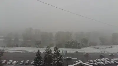 Фото: соцсети, фото - Новости Zakon.kz от 26.12.2017 09:32