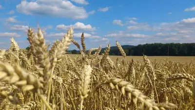 прогноз погоды в Казахстане на 17 августа , фото - Новости Zakon.kz от 16.08.2022 16:07