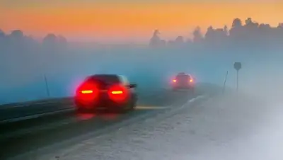 rostovgazeta.ru, фото - Новости Zakon.kz от 20.01.2019 09:32