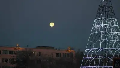 Zakon.kz, фото - Новости Zakon.kz от 04.01.2018 12:19