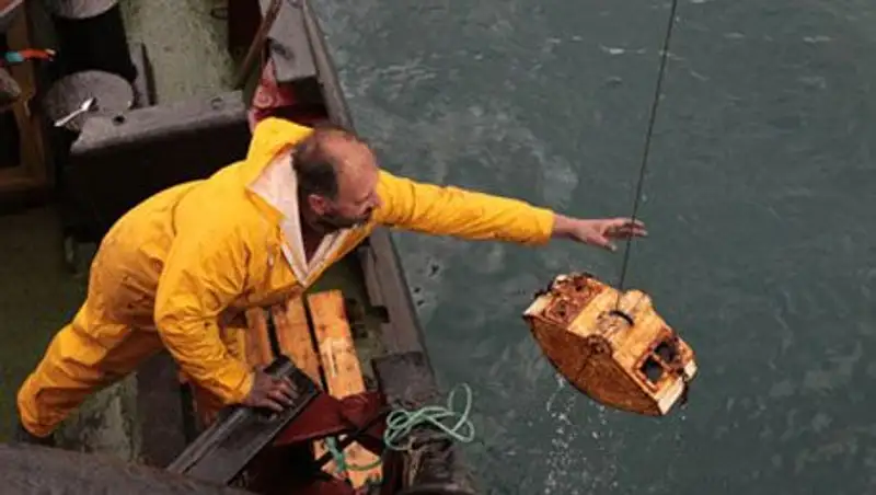 Россия исследует захоронения химического оружия у побережья Крыма