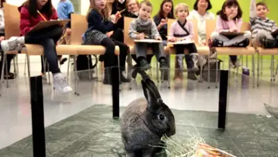 Zakon.kz, фото - Новости Zakon.kz от 02.07.2015 01:40