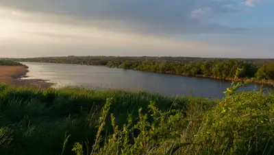 Pixabay, фото - Новости Zakon.kz от 12.08.2020 01:13