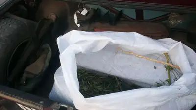 наркотрафик выявили в Костанайской области, фото - Новости Zakon.kz от 11.01.2023 18:53