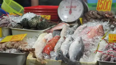 versiya.info, фото - Новости Zakon.kz от 30.10.2019 12:40