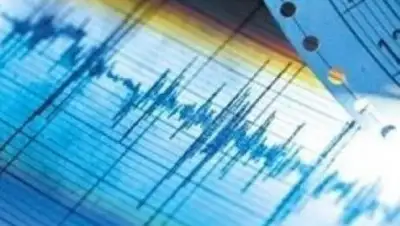 Zakon.kz, фото - Новости Zakon.kz от 12.01.2017 15:56