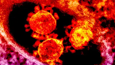 Газета.ру, фото - Новости Zakon.kz от 31.03.2020 14:44