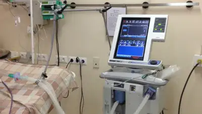 volynka.ru, фото - Новости Zakon.kz от 01.06.2020 22:55