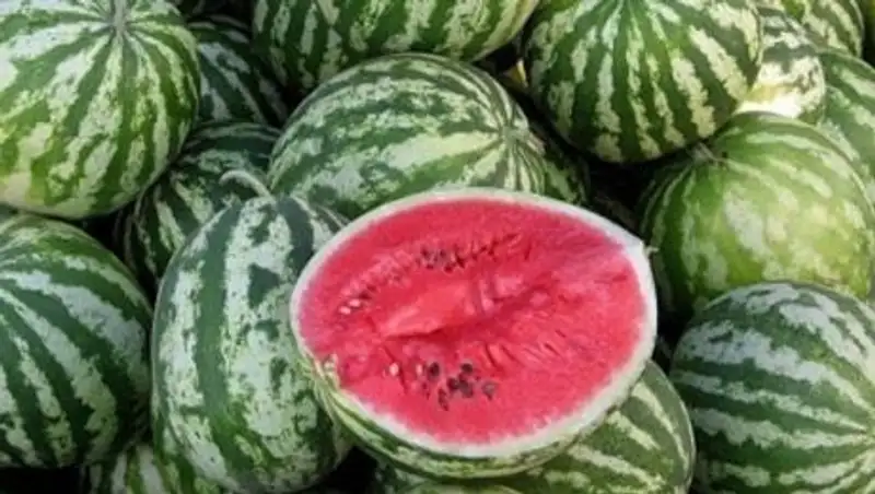 Перевернувшийся прицеп с арбузами парализовал движение на участке трассы Тобол-Рудный