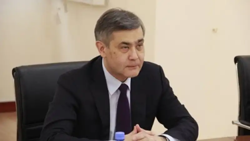 Н.Ермекбаев провел встречу с главой Представительства ЕС в РК