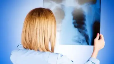 kubnews.ru, фото - Новости Zakon.kz от 03.11.2020 09:15