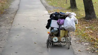 Pixabay, фото - Новости Zakon.kz от 14.10.2019 06:53