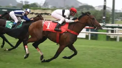 Zakon.kz, фото - Новости Zakon.kz от 17.05.2015 16:07