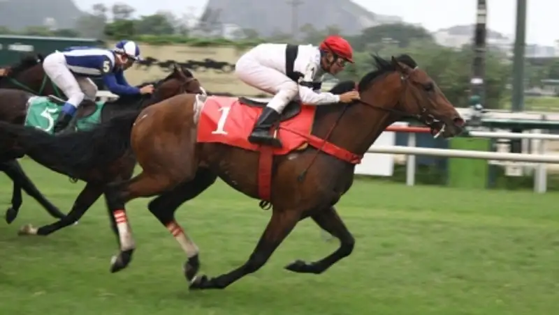 В Павлодаре открылся новый ипподром