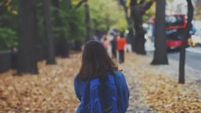 pxhere.com, фото - Новости Zakon.kz от 19.02.2019 14:42