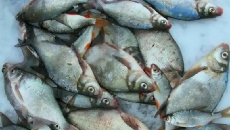 Более тонны рыбы изъяли полицейские у браконьеров в ВКО