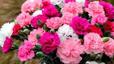 Zakon.kz, фото - Новости Zakon.kz от 03.11.2016 18:08