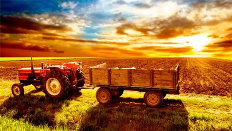 В Акмолинской области в 2014 году на развитие сельского хозяйства выделено 13,1 млрд. т