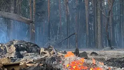 Минэкология ущерб пожары в Костанайской области