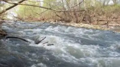 Zakon.kz, фото - Новости Zakon.kz от 05.07.2015 05:22