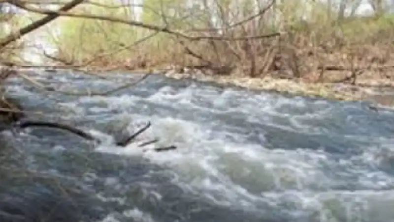 На реках ВКО и Алматинской области ожидаются сильные дожди в ближайшие сутки