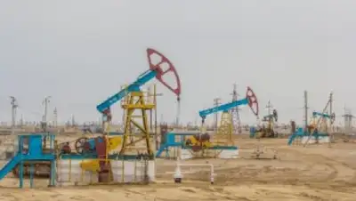 Zakon.kz, фото - Новости Zakon.kz от 01.06.2015 21:29