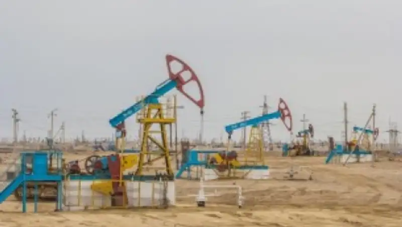 Максимальный объем добычи нефти ожидается в 2031 году - В.Школьник