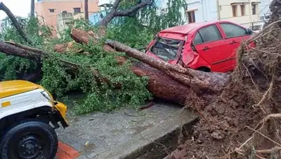 Rediff.com, фото - Новости Zakon.kz от 17.11.2018 16:54