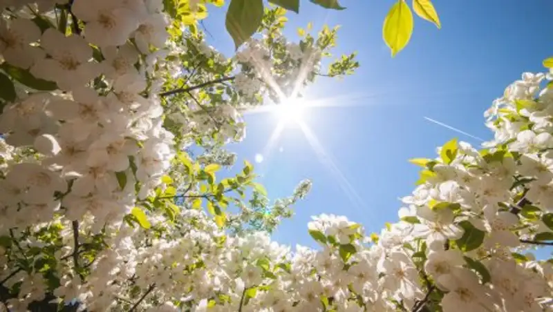 Без осадков будет в Казахстане в среду