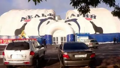 Zakon.kz, фото - Новости Zakon.kz от 20.10.2016 20:09