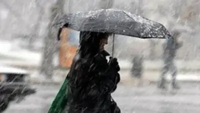 Zakon.kz, фото - Новости Zakon.kz от 17.03.2017 12:00