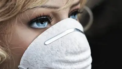 Pixabay, фото - Новости Zakon.kz от 14.07.2020 09:21