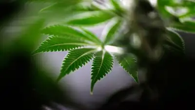 Zakon.kz, фото - Новости Zakon.kz от 04.11.2014 23:27