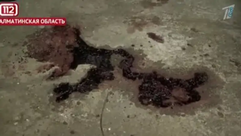 Называл убийцу братом - стали известны подробности убийства парня в Алматинской области