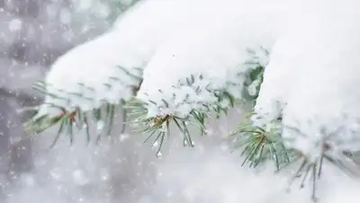 Pixabay, фото - Новости Zakon.kz от 26.02.2019 09:17