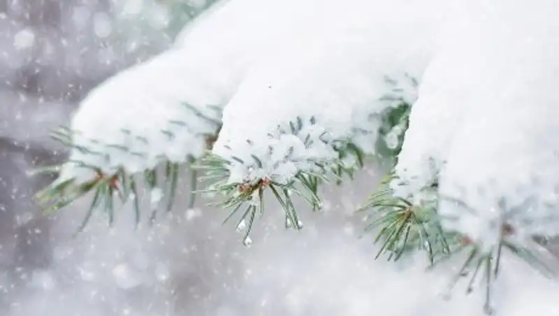Какая погода будет в Казахстане во вторник