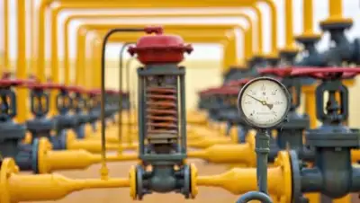 gorod55.ru, фото - Новости Zakon.kz от 24.04.2018 14:20