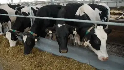 Zakon.kz, фото - Новости Zakon.kz от 16.09.2014 23:13