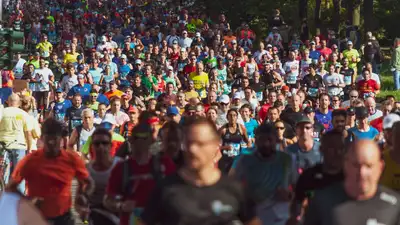 pixabay, фото - Новости Zakon.kz от 12.11.2021 06:20