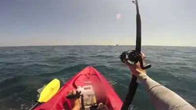 Zakon.kz, фото - Новости Zakon.kz от 16.07.2014 03:54