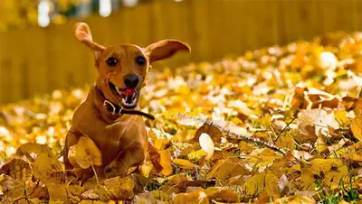 Zakon.kz, фото - Новости Zakon.kz от 15.10.2014 20:54