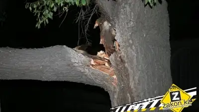 Zakon.kz, фото - Новости Zakon.kz от 02.07.2015 15:45