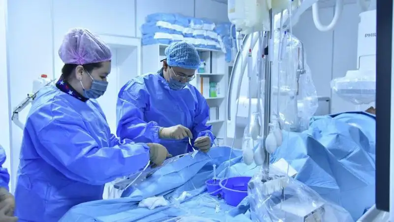 Алексей Цой: Казахстан имеет большой потенциал для развития медицинского туризма, фото - Новости Zakon.kz от 13.03.2023 12:39